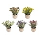 thumbnail image 2 of Planta Decorativa Artificial Diseño Textura Tejida Jhn, 2 of 3