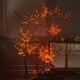 thumbnail image 2 of Guirnalda de Halloween BAOLITVINE iluminada, 6 pies, 120 luces bicolores, 2 of 3