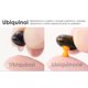 thumbnail image 3 of Bienestar Integral Pharma Ubiquinol Nord Bio 30 Unidades, 3 of 4