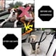 thumbnail image 4 of Cinturón de seguridad para coche para perros, arnés Mascota, correa de seguridad ajustable para reposacabezas, correa reflectante elástica, hebilla de clip resistente para perros medianos., 4 of 7