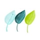 thumbnail image 2 of 3x Embudo De Riego Para Plantas De Interior Y Exterior, 2 of 5