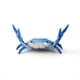 thumbnail image 5 of Get a Grip with the Cute and Functional Crab Pen Holder - Perfect for Students!, 5 of 5