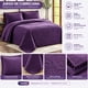 thumbnail image 5 of Cubrecama 2 Plazas En Relieve Con Pompones Decorativos, 5 of 6