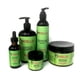 thumbnail image 1 of Set de productos para el cabello Mielle Rosemary Mint con biotina, 5 unidades, 1 of 3