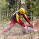 thumbnail image 3 of Casco para arboricultura Pfanner Protos Integral Negro, 3 of 6