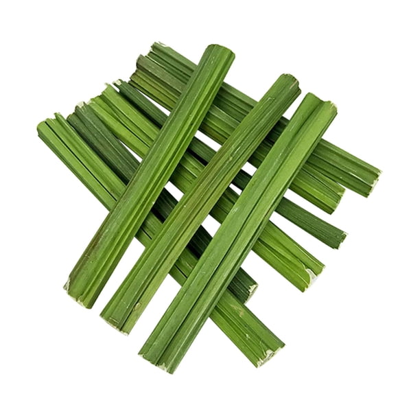 Papaya Stem Juguete para Masticar Conejo Hamster Mordedor Natural Limpieza Interactiva Adecuado para Entrenamiento Mascotas Pequeñas 15cm Uso Interior Jardín