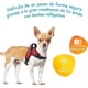 thumbnail image 2 of Arnés Talla S, Ajustable Para Perros Mascotas Paseo, 2 of 3