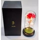 thumbnail image 5 of Rosa Eterna Roja Cupula Vidrio Lampara Led Base Madera, 5 of 7