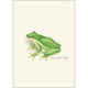thumbnail image 3 of Juego de 8 tarjetas de felicitación Earth Sky + Water – Ranas y Sapos, 3 of 6