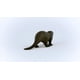 thumbnail image 3 of Toy Schleich Wild Life New 2023 Marine Ocean Otter Kids 3+, 3 of 6