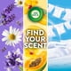 thumbnail image 5 of Recambio de aceite perfumado Air Wick Plug In, 2 unidades, Paradise Retreat, 5 of 8
