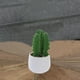 thumbnail image 1 of Planta Decor Cactus Suculento 25 Cms Maceta Blanca, 1 of 4