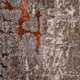 thumbnail image 2 of Alfombra Joint 160x230 Cm 18378 795 Beige, 2 of 4