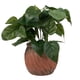 thumbnail image 1 of Planta Decorativa Hojas Macetero, 1 of 1