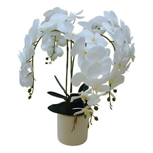 Genérico - Planta Artificial Decorativa Orquídea Blanca Realista Jhn