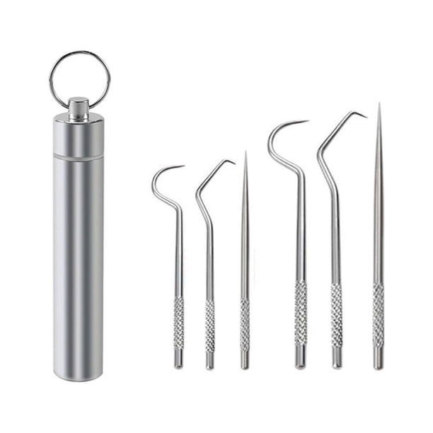 Juego de palillos de dientes portátiles, reutilizables, de acero inoxidable, con soporte para picnics y acampadas al aire libre.