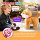 thumbnail image 5 of Juguete de Peluche HCdoujoy Corgi que Camina, Ladra y Canta, 5 of 8