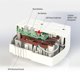 thumbnail image 5 of Adaptador GFCI Tower Manufacturing 30440003 15 A de 5 salidas, color blanco, 5 of 5