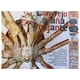 thumbnail image 2 of Animales al natural - Un acuario portátil blanco, 2 of 3