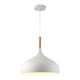 thumbnail image 5 of Lámpara Colgante De Metal, Cubierta De Luz De Moda Para Pasillo, Baño, Sala De Estar, Color Blanco, 5 of 6