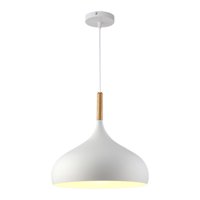 Ioensy - Lámpara Colgante De Metal, Cubierta De Luz De Moda Para Pasillo, Baño, Sala De Estar, Color Blanco