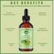 thumbnail image 5 of Aceite de Grano de Café Verde Natural Born Oils 120 ml Orgánico, 5 of 9