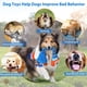 thumbnail image 5 of Juguete para perros Squeaky, homounter, resistente tira y afloja para perros grandes, 5 of 7