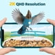 thumbnail image 3 of Comedero Para Pájaros Tuc 2k Hd Cámara Solar Ai De 32 Gb, 3 of 9
