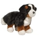 thumbnail image 1 of Peluche Douglas Stevie Bernese Mountain Dog 25 cm, 1 of 9