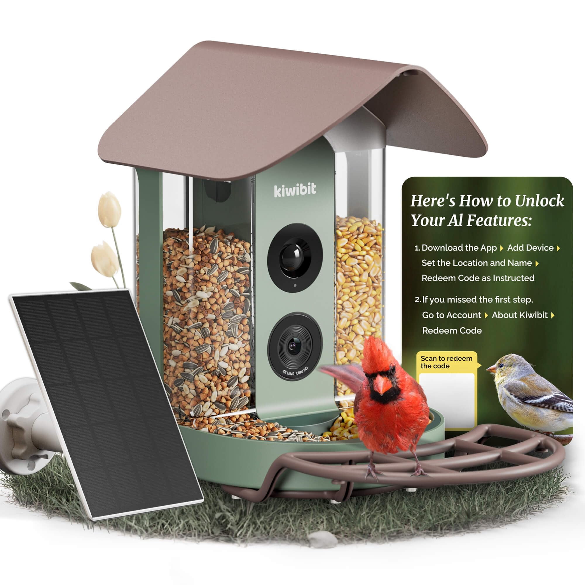 Comedero Inteligente Para Aves Con Cámara Ia 4k Y Energía Solar