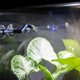 thumbnail image 5 of Humidificador Reptile Mister Fogger REPTI ZOO 10L de alta presión, 5 of 8