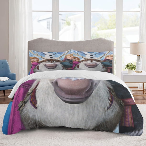 Frozen Bedding Sets Cartoon Duvet Cover Lightweight 3 Piece Bet Sets for Kids Boys Girls