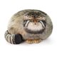 thumbnail image 1 of Peluche Steppe Cat De 30 Cm Con Almohada Para Niños, 1 of 5