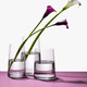 thumbnail image 3 of Crystalex Florero Vogue 21 5 Cm, 3 of 3