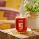 thumbnail image 3 of Tarro grande de Scented Candle Yankee Candle con manzana y calabaza, 3 of 6