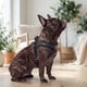 thumbnail image 3 of Arnés Petlounge Easy Glam Mascotas Perros Talla M negro, 3 of 9