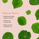 thumbnail image 3 of Bálsamo limpiador Erborian Centella Melting con extracto de centella, 3 of 7