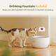 thumbnail image 4 of Comedero automático inteligente para gatos y fuente de agua ARENTI 4L, 4 of 9