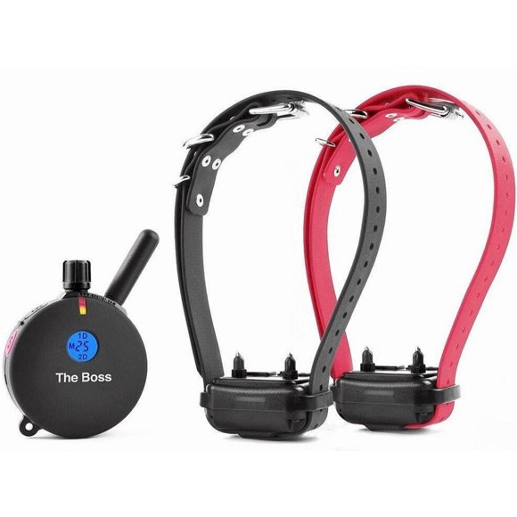 Collar Educador para Entrenamiento Canino ET-802 a Distancia Impermeable 1.6 km