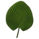 thumbnail image 1 of Abanico De Palma Artificial Hawaiano De Hoja De Palma De 65 Cm De Alto Para Decoración De Fiestas, 1 of 5
