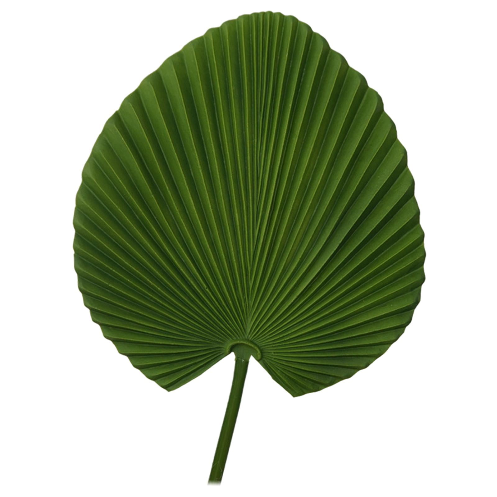 Bothyi - Abanico De Palma Artificial Hawaiano De Hoja De Palma De 65 Cm De Alto Para Decoración De Fiestas