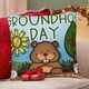 thumbnail image 4 of Día de la Marmota Fundas de almohada de terciopelo con tema, regalos de funda de almohada, decoración para el hogar, cojín de lanzar, regalo de cumpleaños para fans y parejas.66*66cm., 4 of 6