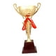 thumbnail image 1 of Trofeos De Premios Premios Trofeos Pequeños Para Niños Para Celebraciones De Fiestas Accesorios Para Eventos 32.5cm, 1 of 3