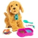 thumbnail image 1 of Moji interactivo de Labradoodle My Fuzzy Friends Sky Rocket, 1 of 3