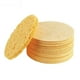 thumbnail image 1 of Esponjas Faciales Comprimidas Para Limpieza Facial Esponja Cosmética Reutilizable, 1 of 5