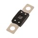 thumbnail image 5 of mega fusible empotrable 32 v / fusible tipo plano / fusible automático / cuchilla fusible para rv / yate 50a, 5 of 5