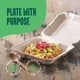 thumbnail image 3 of Recipientes Compostables Para Comida Para Llevar Con Forma De Concha 8 X 8 Unidades 50 Unidades, 3 of 5