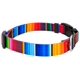 thumbnail image 4 of Juego de correa y collar Country Brook Petz de 2,5 cm con serape – 1,8 m, 4 of 6