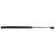 thumbnail image 1 of Resorte de Gas AP Products 010293 53 cm Fuerza 72 kg, 1 of 1