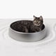 thumbnail image 3 of Cama Para Mascotas De Aluminio Fresca Y Resistente Pidan®, 3 of 3